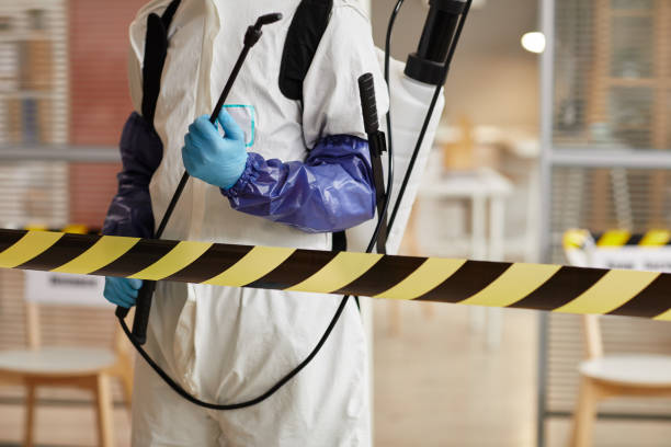 Professional Sewage Cleanup technician working in Merino, CO